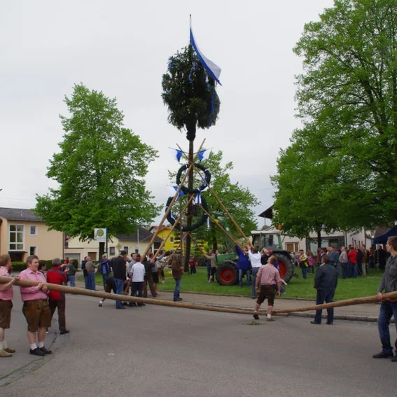 20100501_maibaumaufstellen_27.jpg