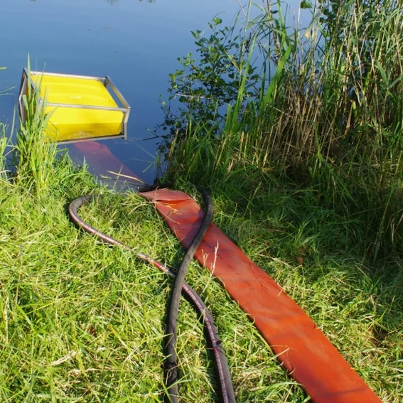 20100611_katschutzpaf_57.jpg