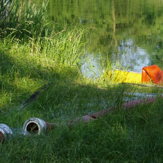 20100611_katschutzpaf_79.jpg