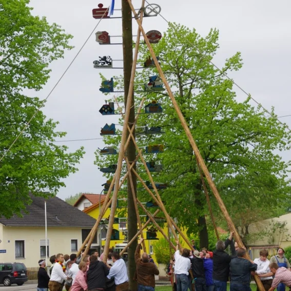 20100501_maibaumaufstellen_38.jpg