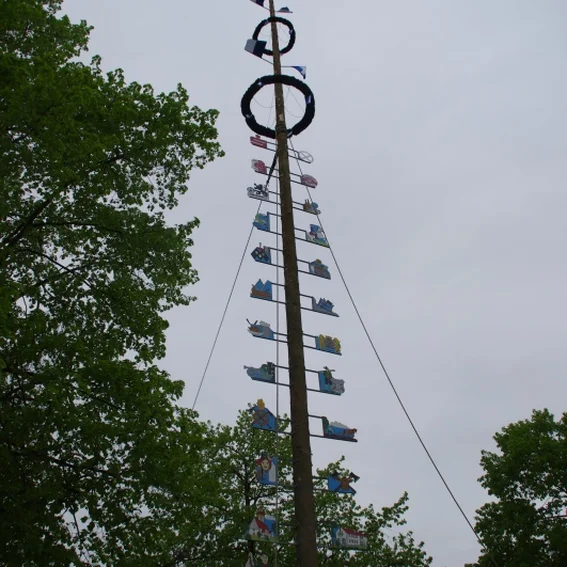 20100501_maibaumaufstellen_43.jpg