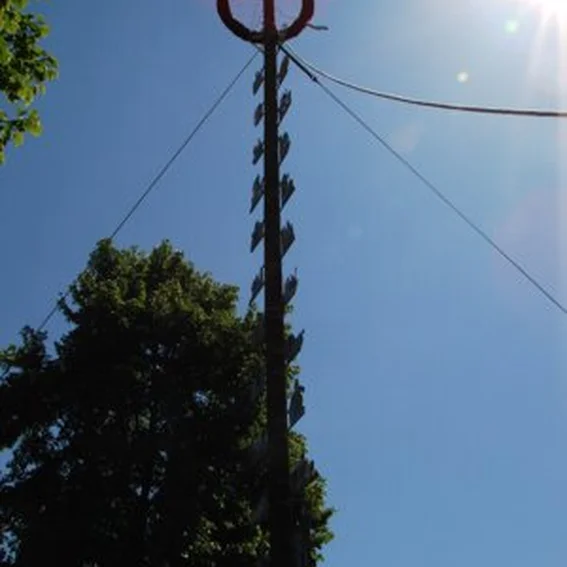 20070501_maibaum_14.jpg