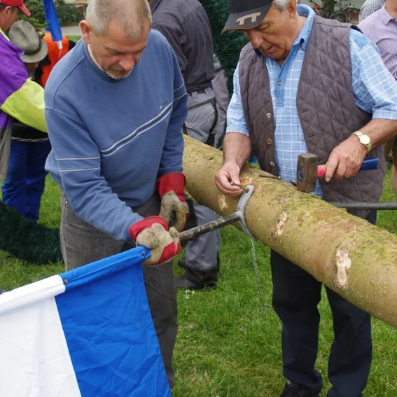 20100501_maibaumaufstellen_11.jpg