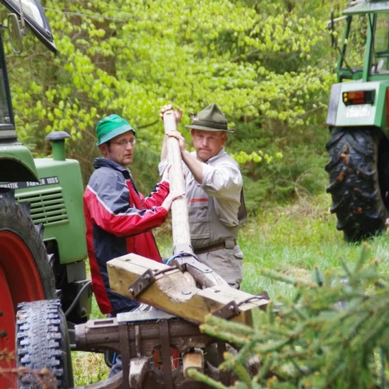 20100501_maibaumholen_23.jpg