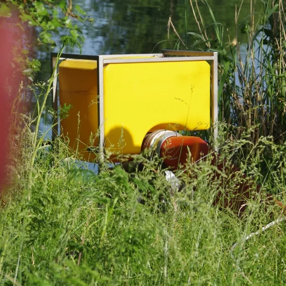 20100611_katschutzpaf_51.jpg