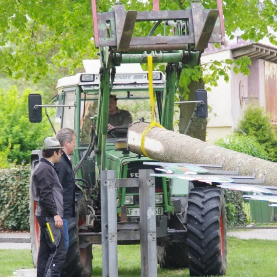 20100501_maibaumaufstellen_16.jpg