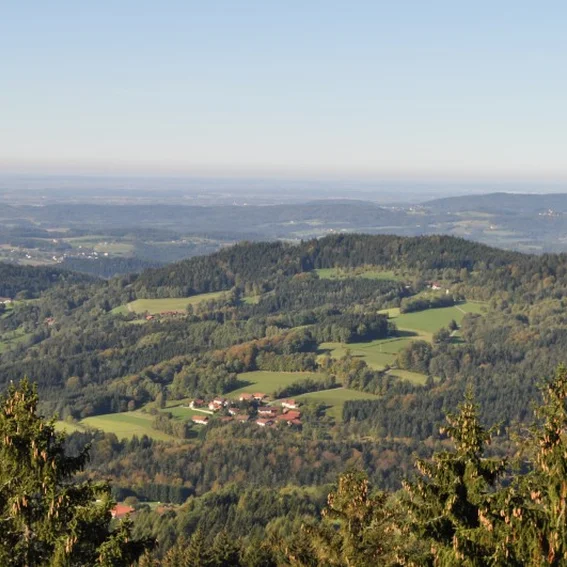 20111015_ausflug_3.jpg