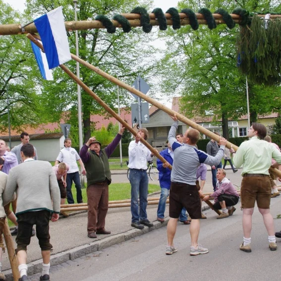 20100501_maibaumaufstellen_23.jpg