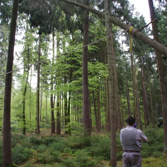 20100501_maibaumholen_17.jpg