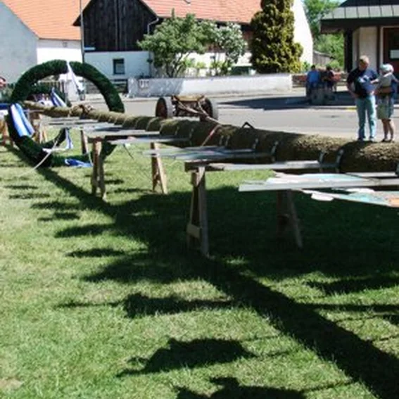 20070501_maibaum_4.jpg
