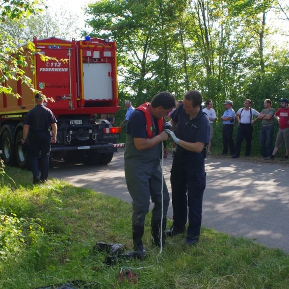 20100611_katschutzpaf_31.jpg