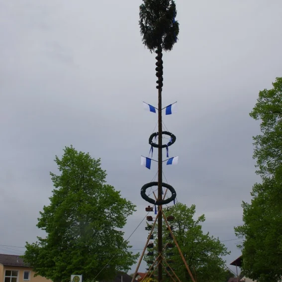 20100501_maibaumaufstellen_37.jpg