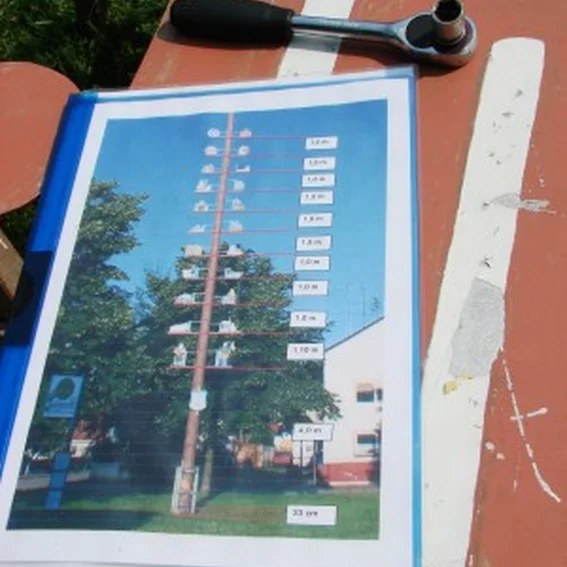 20090501_maibaum_5.jpg