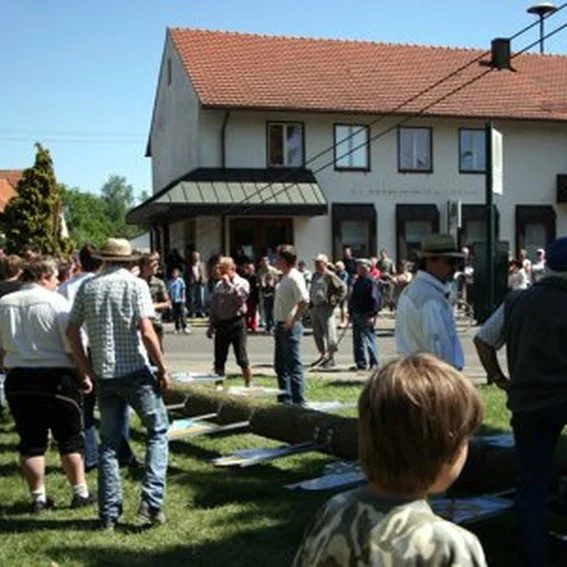 20070501_maibaum_6.jpg
