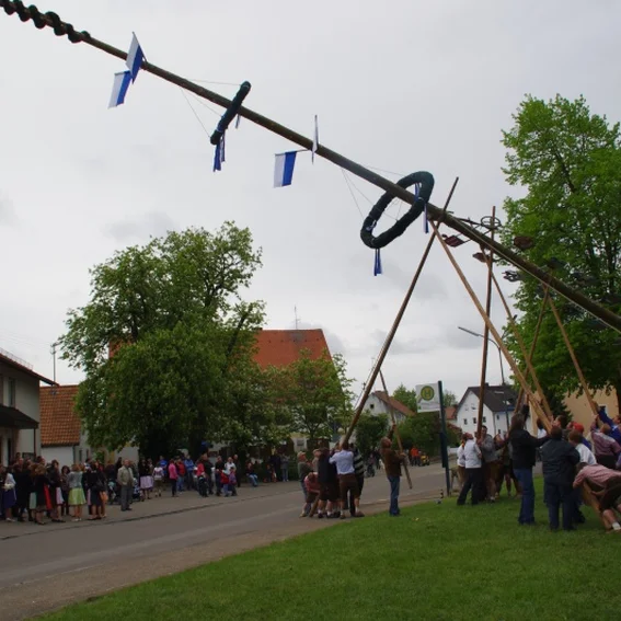 20100501_maibaumaufstellen_36.jpg