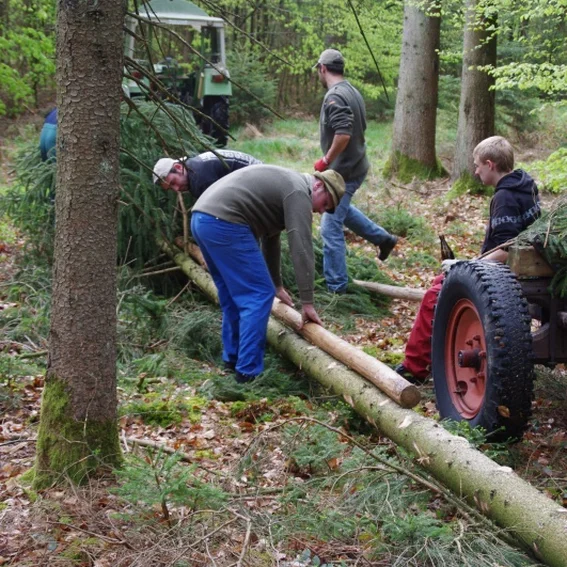 20100501_maibaumholen_27.jpg
