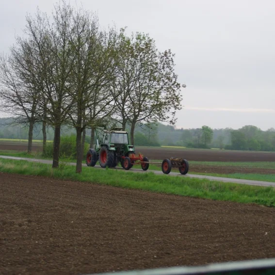 20100501_maibaumholen_1.jpg