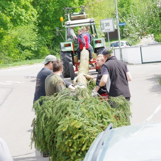 20100501_maibaumholen_41.jpg