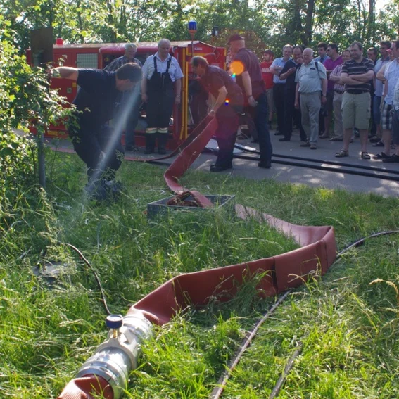 20100611_katschutzpaf_56.jpg
