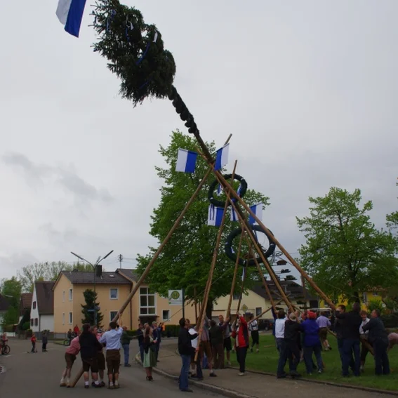 20100501_maibaumaufstellen_31.jpg