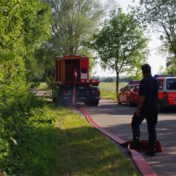 20100611_katschutzpaf_58.jpg