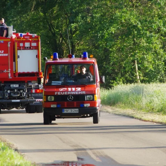 20100611_katschutzpaf_116.jpg