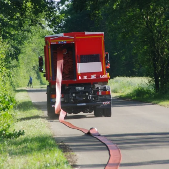 20100611_katschutzpaf_60.jpg