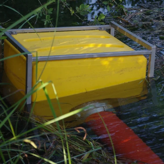 20100611_katschutzpaf_75.jpg
