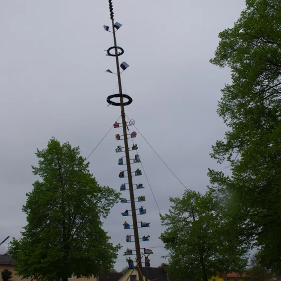 20100501_maibaumaufstellen_39.jpg