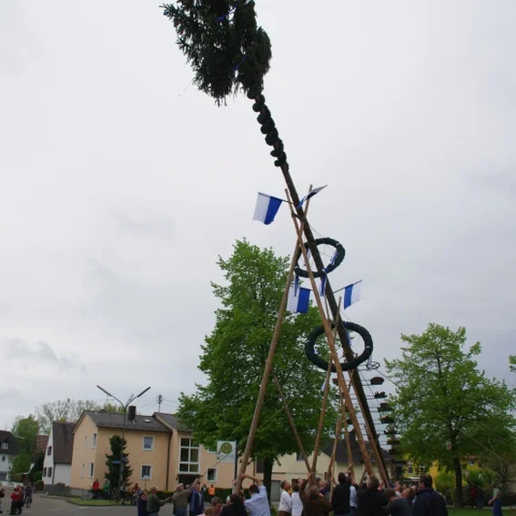 20100501_maibaumaufstellen_33.jpg