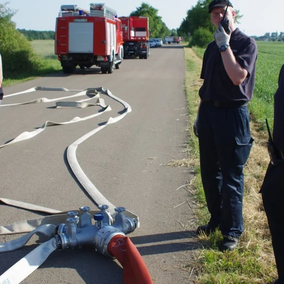 20100611_katschutzpaf_66.jpg