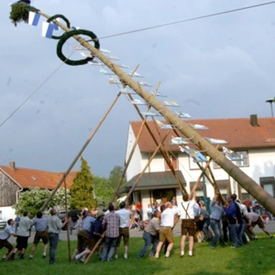 20090501_maibaum_16.jpg