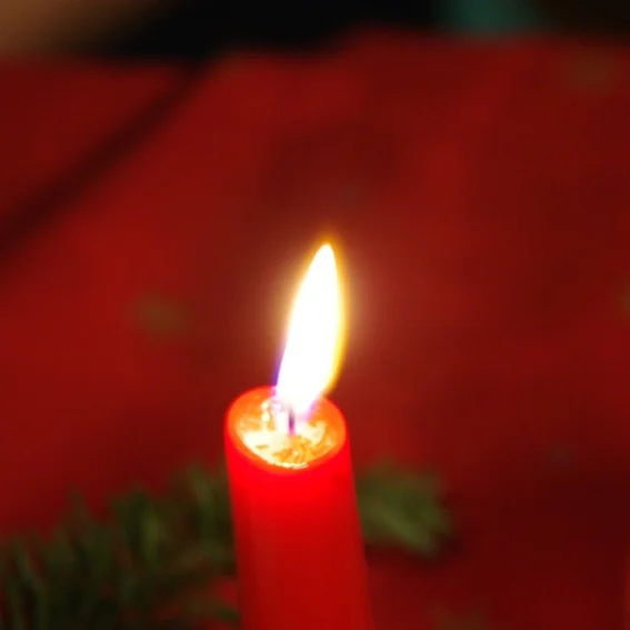 20101217_weihnachtsfeier_15.jpg