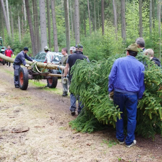 20100501_maibaumholen_33.jpg