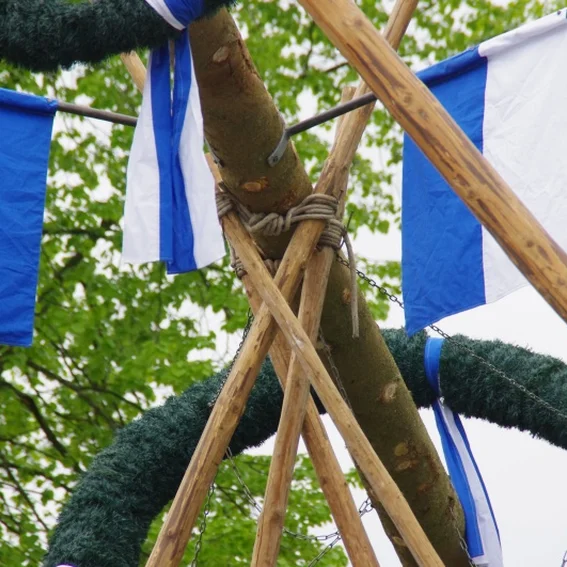 20100501_maibaumaufstellen_32.jpg