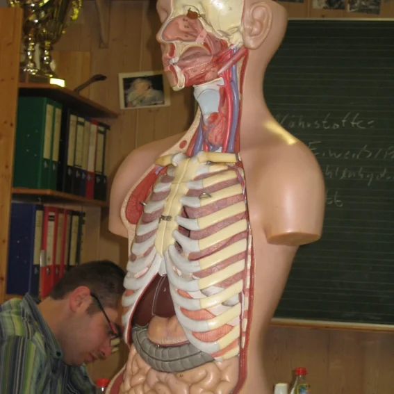 20110404_sankurs_29.jpg