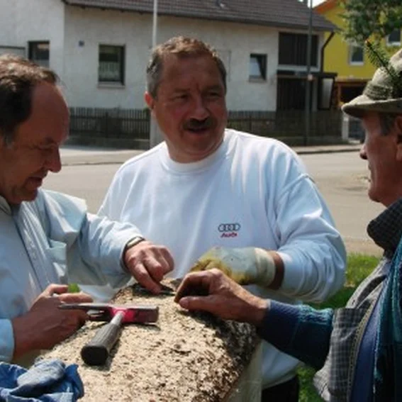 20090501_maibaum_2.jpg