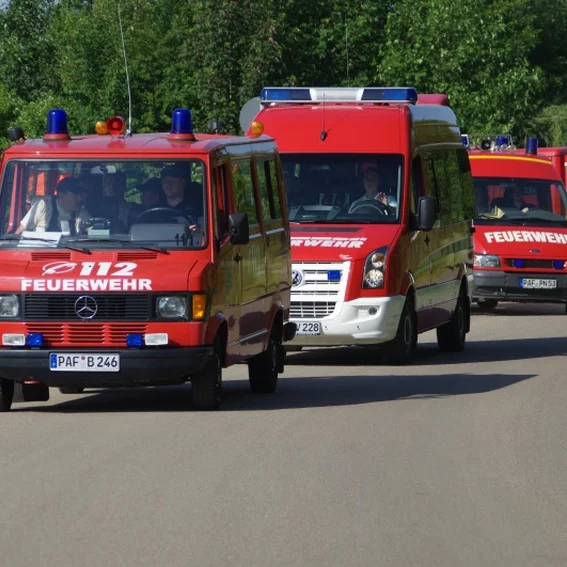 20100611_katschutzpaf_27.jpg