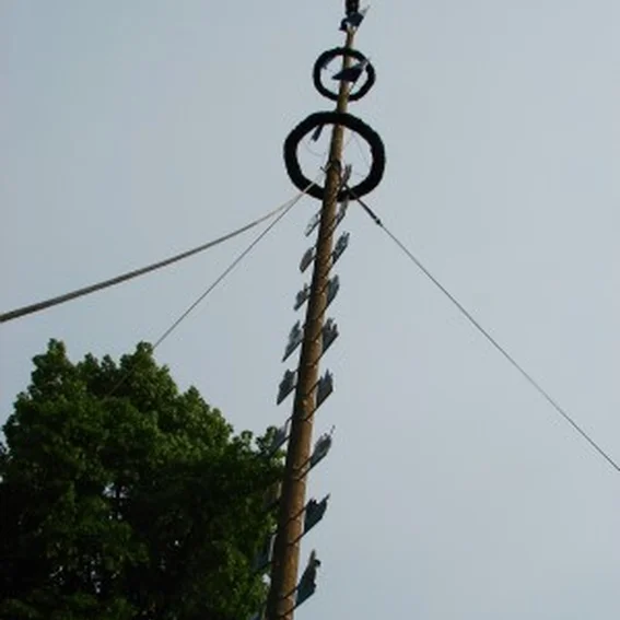 20090501_maibaum_17.jpg