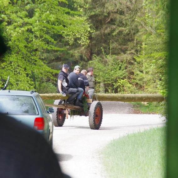 20100501_maibaumholen_39.jpg