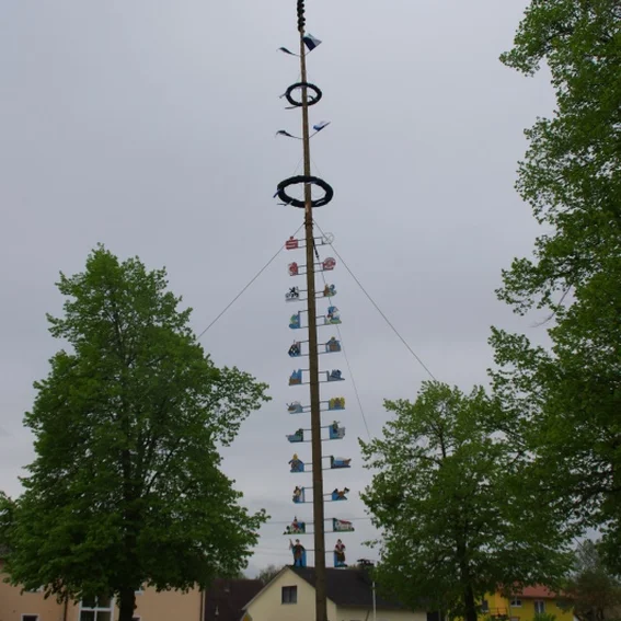 20100501_maibaumaufstellen_41.jpg