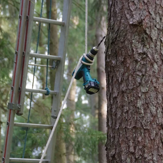 20100501_maibaumholen_9.jpg