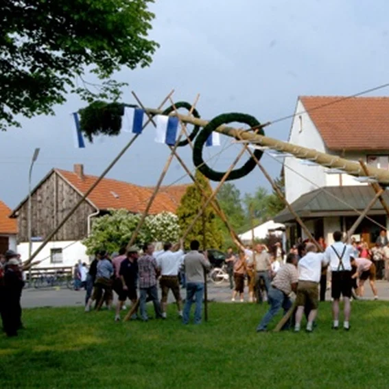 20090501_maibaum_15.jpg