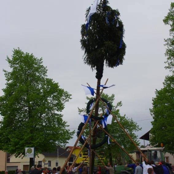 20100501_maibaumaufstellen_26.jpg