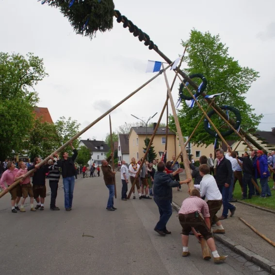 20100501_maibaumaufstellen_30.jpg