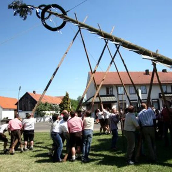 20070501_maibaum_9.jpg