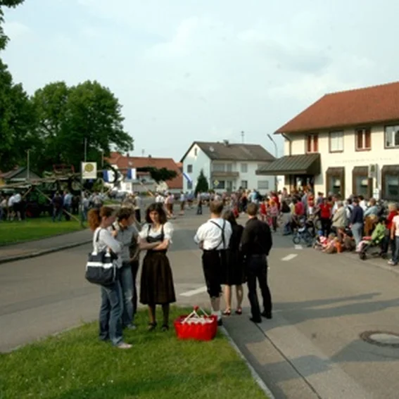 20090501_maibaum_14.jpg