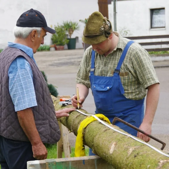 20100501_maibaumaufstellen_8.jpg