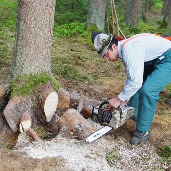 20100501_maibaumholen_15.jpg