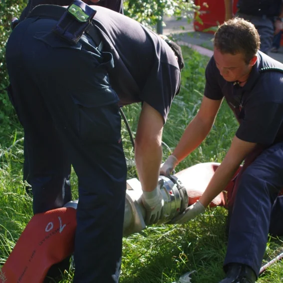 20100611_katschutzpaf_55.jpg